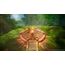 Square Enix Dragon Quest I & II HD-2D Remake, Nintendo Switch Standard, 6 image