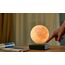 Gingko Design G019BK Beleuchtungsdekoration Leichte Dekorationsfigur LED, 4 image