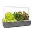 Click & Grow Smart Garden 9 Garten Grau