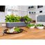 Click & Grow Smart Garden 9 Garten Grau, 3 image