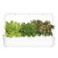 Click & Grow Smart Garden 9 Garten Weiß
