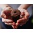 Click & Grow Smart Garden 9 Garten Weiß, 9 image
