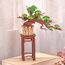 ROBOTIME Immergrüner Pinien Bonsai 3D-Puzzle 115 Stück(e) andere, 2 image