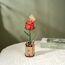 ROBOTIME Red Rose 3D-Puzzle 106 Stück(e) Flora, 3 image