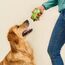 WOW.Pet 9120063681532 Hunde-Dosenfutter Rind Adult 400 g, 5 image