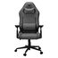 COUGAR Gaming-Stuhl Explore Royal Gray F