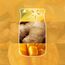 Yankee Candle Starfruit & Sunshine Car Jars Karton, 2 image
