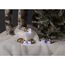 Star Trading Crystalo Leichte Dekorationsfigur 40 Glühbirne(n) LED 0,93 W, 2 image