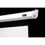 Elite Screens Spectrum Series "Spectrum ELECTRIC110XH" Motorleinwand 243,5cm x 137,0cm (BxH) 16:9