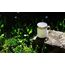 SIGG 6053.70 Reisebecher 300 ml Weiß Edelstahl, 5 image