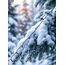 dameco 80546 Lichterkette 7,5 m 100 Lampen LED, 2 image