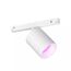 Philips Hue White and Color ambiance Perifo Zylinderspot Erweiterung weiß