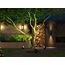 Philips Hue White and Color ambiance Lily XL Outdoor Spot Erweiterung schwarz, 6 image