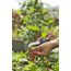 Gardena VeggieCut Astschere Schwarz, Grün, 3 image