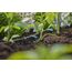 Gardena 13317-20 Bewässerungstropfer 2 l/h Schwarz Inline-Montage, 4 image