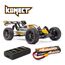 HobbyTech ROGUE BUGGY 2.0 ferngesteuerte (RC) modell Elektromotor 1:8