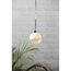 Star Trading Glow Leichte Dekorationsfigur 15 Glühbirne(n) LED 0,3 W, 2 image