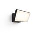 Philips Hue White Welcome Outdoor Flutlicht schwarz