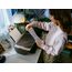 HP DeskJet 2920 Wireless All-in-One Farbe Drucker, Instant Ink, 11 image