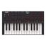 Akai MPK Mini 4B MIDI-Tastatur 25 Schlüssel USB Schwarz, 2 image
