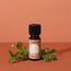 Balthasar 434507.132 Aromaessenz Ätherisches Öl 10 ml Minze Aroma-Diffuser, 2 image