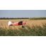 MULTIPLEX RR Pacer ferngesteuerte (RC) modell Flugzeug Elektromotor, 7 image