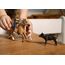 schleich FARM WORLD 42578 Spielzeug-Set, 3 image