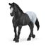 schleich HORSE CLUB 42611 Spielzeug-Set, 2 image