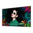 Samsung QM85C Digital Signage Flachbildschirm 2,16 m (85") LCD WLAN 500 cd/m² 4K Ultra HD Schwarz Tizen 24/7