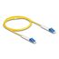 DeLOCK LWL Kabel LC Duplex zu LC Duplex Singlemode OS2 winkelbar 2 m, Länge: 2 m, 2 image