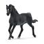 schleich HORSE CLUB Araber Hengst