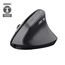 Trust Bayo II Maus Medizinisch Rechts RF Wireless Optisch 2400 DPI
