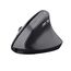 Trust TM-270 Maus Büro Rechts RF Wireless Optisch 2400 DPI