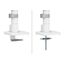 Neomounts DS65S-950WH2 Monitorarm 24-34" - Gasfeder - Topfix - mehrfach verstellbar - 180°-Stopp, Farbe: Weiß, 14 image