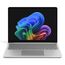 Microsoft Surface Laptop 13" Copilot+ PC Intel Core Ultra 5 325 33 cm (13") Touchscreen 24 GB LPDDR5x-SDRAM 1 TB SSD Wi-Fi 7 (802.11be) Windows 11 Pro Platin QWERTZU, Kapazität: 1 TB
