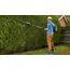 Bosch UniversalHedgePole 18 Einzelne Klinge 3,6 kg, 4 image
