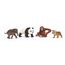 schleich Wild Life "Asien" Starter-Set