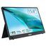 ASUS ZenScreen MB16AHG Computerbildschirm 39,6 cm (15.6") 1920 x 1080 Pixel Full HD Schwarz