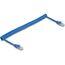 DeLOCK 90362 Netzwerkkabel Blau 1,8 m Cat6 U/UTP (UTP) Rund