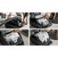 Siemens VSQ5X1230 Staubsauger 4,5 l Zylinder-Vakuum Trocken 850 W Staubbeutel, 7 image