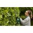 Bosch Easy HedgeCut 18-52-13 2,8 kg, 4 image