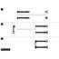 PATCHBOX Patchcatch Solo (24-Pack), 3 image
