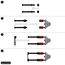 PATCHBOX Patchcatch Solo (24-Pack), 4 image