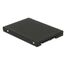 DeLOCK 62866 Schnittstellenkarte/Adapter Eingebaut M.2, mSATA, 2 image