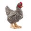 schleich FARM WORLD Plymouth Rock Huhn