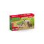 schleich FARM WORLD 42660 Kinderspielzeugfigur, 5 image