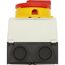 Eaton T0-1-8200/I1/SVB Kippschalter 1P Rot, Weiß, Gelb, 3 image
