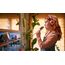 Philips 4000 series TAK4200MP/00 Kopfhörer & Headset Kabellos Kopfband Anrufe/Musik Bluetooth Orange, Violett, Rose, 9 image