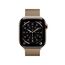 Apple Watch Series 11 OLED 42 mm Digital 374 x 446 Pixel Touchscreen 5G Titan WLAN GPS, 2 image