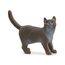 schleich FARM WORLD Britische Kurzhaar Katze